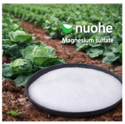 Factory Price Fertilizer Bath Salt Mgso4 Epsom Salt Heptahydrate Magnesium Sulphate for Agriculture Uses